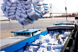 Doanh nghiệp xuất khẩu “ngồi trên đống lửa” vì dịch Covid-19