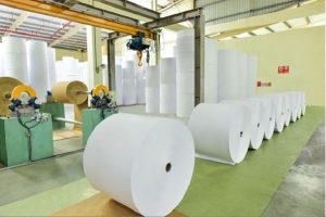 Bổ sung thêm 4 nhóm đối tượng được gia hạn nộp thuế, tiền thuê đất