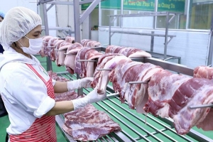 Giảm bớt khâu trung gian để bớt chênh lệch giá thịt lợn