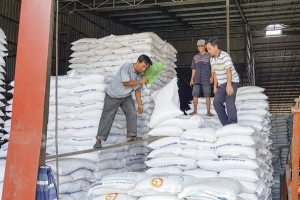 Giá gạo cấp thấp tăng đột biến