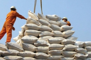 Giá gạo vọt lên cao nhất 7 năm