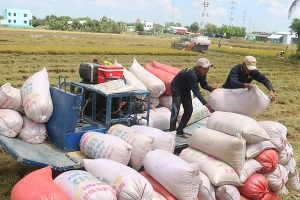 Bộ Công Thương công bố hạn ngạch xuất 400.000 tấn gạo