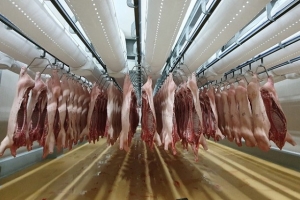 Xử lý nghiêm các trường hợp găm hàng, đẩy giá thịt lợn lên cao