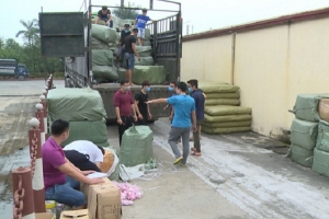 Thái Bình: Phát hiện 1.000 thùng hàng không rõ nguồn gốc, xuất xứ