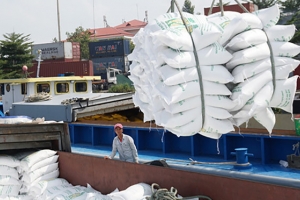 Thủ tướng Chính phủ yêu cầu thanh tra việc chấp hành quy định về xuất khẩu gạo