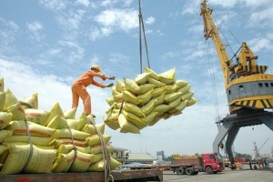 Hải quan ‘hỏa tốc’ hướng dẫn xuất khẩu gạo nếp