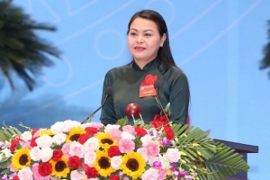 Chủ tịch Hội Liên hiệp Phụ nữ Việt Nam giữ chức Bí thư Ninh Bình