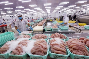 Quý 2/2020: Vĩnh Hoàn (VHC) kỳ vọng kinh doanh sớm hồi phục