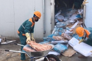 Hải Dương: Tiêu hủy 72 tấn nội tạng không rõ nguồn gốc