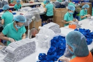 Doanh nghiệp lưu ý khi xuất khẩu khẩu trang vào EU