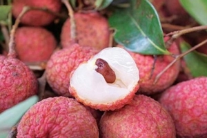 Vải thiều Việt Nam không thể xuất sang Nhật