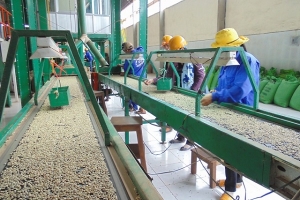 Đẩy nhanh tiến độ triển khai kế hoạch khuyến công quốc gia năm 2020