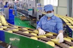 Kinh tế Việt Nam: Phát huy nội lực để phát triển bền vững