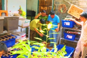 Đắk Lắk: Tạm giữ 127 cá thể rùa chưa rõ nguồn gốc