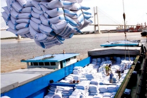 Nguồn cung thấp đẩy giá gạo xuất khẩu lên cao nhất 2 năm