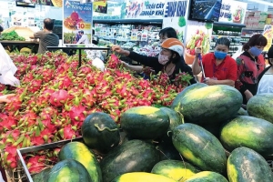 Chuỗi liên kết sản xuất tiêu thụ nông sản: “Chìa khóa” thúc đẩy tăng trưởng