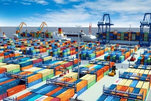 Sử dụng C/O giả, một doanh nghiệp bị phạt hơn 300 triệu đồng