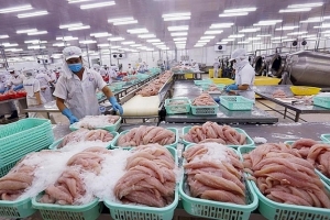 Đẩy nhanh tiến độ đăng ký mã số REX