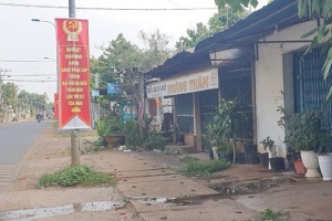 Đồng Nai: Đất cao su đang bị xẻ thịt - ai là người hưởng lợi?