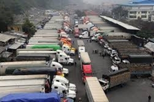 Xuất khẩu nông sản sang Trung Quốc khởi sắc trở lại