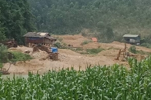 Tuyên Quang: Cần kiểm tra hoạt động khai thác của Công ty CP XNK và đầu tư Hòa An