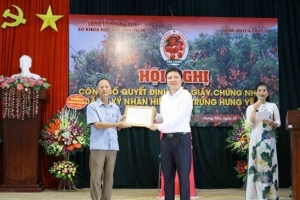 Cấp chứng nhận nhãn hiệu “Vải trứng Hưng Yên”
