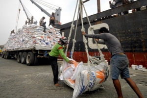 Gạo nhập vào Indonesia phải dùng tàu và dịch vụ bảo hiểm của nước này