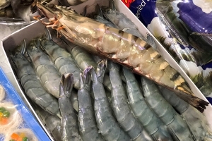 Úc siết chặt quy định với tôm nhập khẩu, doanh nghiệp Việt lưu ý