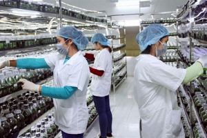 Hà Nội: Khuyến khích phát triển các doanh nghiệp khoa học công nghệ