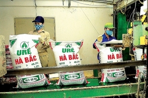 Chuyển hồ sơ vụ việc tại Công ty Đạm Hà Bắc sang Bộ Công an điều tra