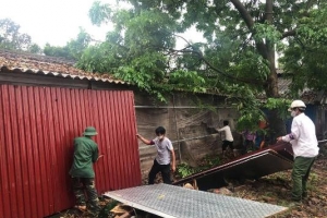 Huyện Vĩnh Tường (Vĩnh Phúc): Cưỡng chế GPMB dự án xây dựng, mở rộng chùa Già Du