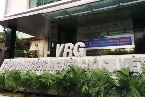 Đề nghị xử lý trách nhiệm tập thể, cá nhân tại Tập đoàn Công nghiệp Cao su Việt Nam