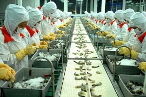 Ứng phó với sự thay đổi trong chính sách điều tra chống bán phá giá