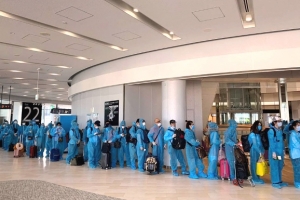 Đà Nẵng: Đón hơn 300 người Việt từ Nhật Bản về nước