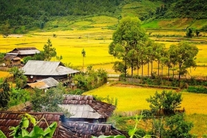 Sáu ngôi làng đẹp như cổ tích ở Việt Nam