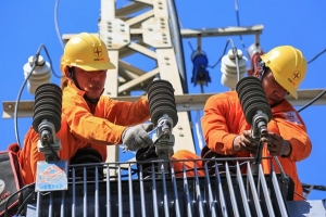 EVN đã đảm bảo cấp điện ổn định, an toàn cho phát triển kinh tế - xã hội