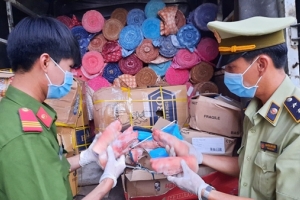 An Giang: Phát hiện xe tải chở gần nửa tấn chân lợn nhập lậu