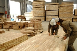 Mỹ chính thức điều tra chống lẩn tránh thuế với gỗ dán của Việt Nam