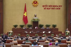 Quốc hội thảo luận về kinh tế - xã hội: Kiến nghị chưa tăng lương cơ sở