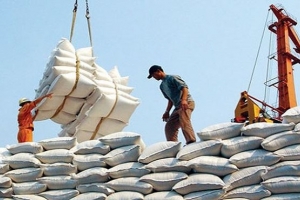 Sẽ xuất khẩu khoảng 2,3 - 2,5 triệu tấn gạo