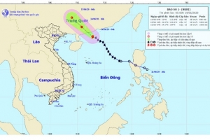 Bão số 1 gây mưa dông, cảnh báo lũ, lũ quét và sạt lở đất trên các sông