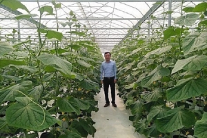 Thanh Hóa: Bài toán xây dựng nhãn hiệu cho các sản phẩm OCOP