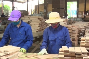Yên Bái: Ưu tiên các chương trình phát triển sản phẩm công nghiệp nông thôn tiêu biểu