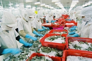 6 tháng đầu năm 2020 , tổng sản lượng thủy sản đạt 3,83 triệu tấn, tăng 1,4% so cùng kỳ 2019