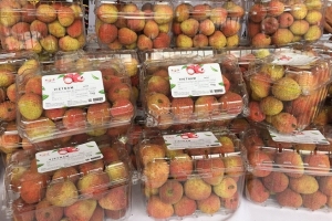 Vải Việt Nam “cháy hàng” tại Nhật Bản