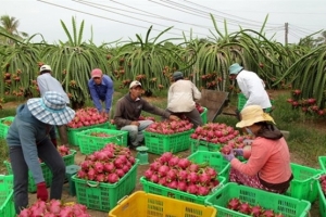 Tăng cường giám sát chất lượng nông thủy sản xuất khẩu sang Trung Quốc