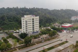 Công ty điện lực Lào Cai: Vì quyền lợi của khách hàng