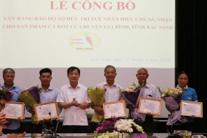 Bảo hộ sở hữu trí tuệ nhãn hiệu chứng nhận cho cà rốt Gia Bình