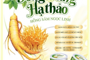 Cần làm rõ nguồn gốc, xuất xứ của Sữa bột Đông Trùng Hạ Thảo Hồng Sâm Ngọc Linh