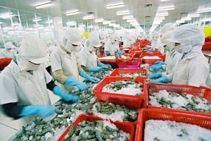 Lưu ý về chính sách thuế và thủ tục hải quan khi thực hiện Hiệp định EVFTA
